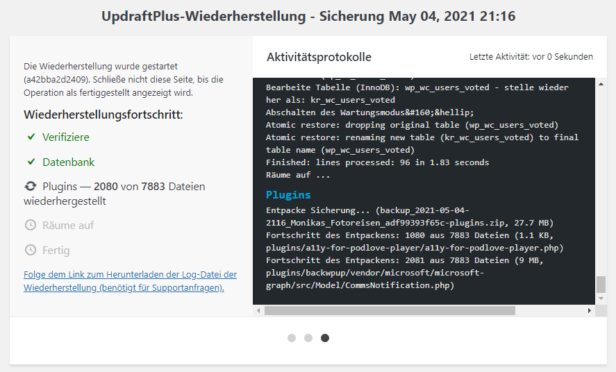 Screenshot einer Wiederherstellung. Im linken Bereich sieht man den Fortschritt, im rechten Bereich ein detailliertes Log.